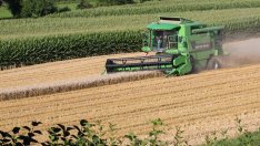 Явор Гечев: Няма индикатори за продоволствена криза в България