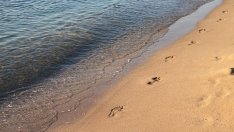 86 плажни ивици по Черноморието са неохраняеми