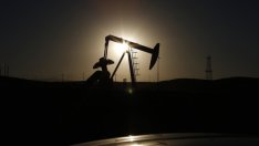 Петролът – крайъгълният камък на 2014 г.