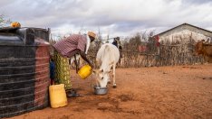 Крехката хранителна и водна сигурност в Африка заплашва и Глобалния Север