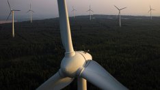 Електроенергията в Полша отбеляза рекордно ниски отрицателни цени 