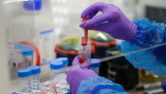 Втора вълна на COVID-19 – въпросът не е дали ще има, а кога и колко силна ще е тя