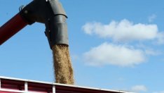 Китай усилено демонстрира търговските си мускули