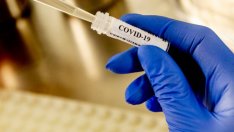 Как мутира коронавирусът по света?