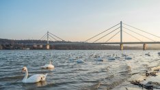 Министерството на туризма подкрепя идеята за плажове по Дунав