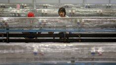 PC производството страда силно от липсата на твърди дискове