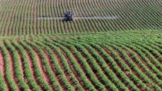 9% е усвояването на средствата по ПРСР към края на 2017 г.