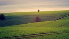 Догодина напояването ще бъде финансирано по Програмата за селските райони