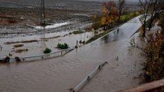 До края на века щетите от наводнения в ЕС може да достигнат 100 млрд. евро годишно 