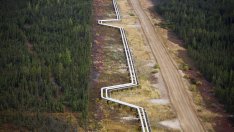 Доставките на руски газ за Унгария чрез „Турски поток“ ще започнат през 2021 г.