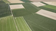 В дунавските общини  1 млн. декара ще бъдат третирани срещу комари