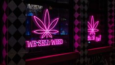 Специализираните ETF-и не се отплащат на инвеститорите