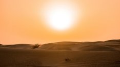 Тежкото време през лятото може да се окаже най-големият риск за световната икономика