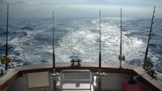 Агенцията по рибарство е иззела 2300 метра бракониерски мрежи за седмица