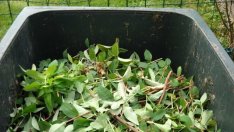 Кметове: Не сме готови да изхвърляме отпадъците по вид и в определени торби