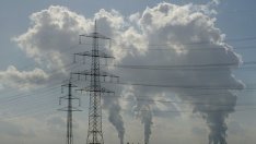 Премахнати са 11 незаконни сметища около София едва след предписания към кметове