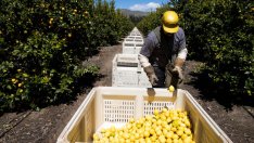 Пазарът на труда – ни напред, ни назад