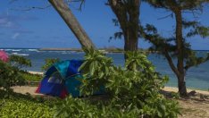 Забраната за свободно къмпингуване отпада засега