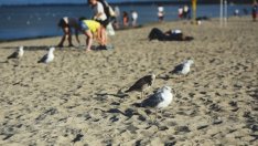 Румънските туристи са изхарчили около 1 млрд. евро в България през 2015 г.