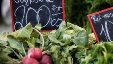 Централните банки в Източна Европа са изправени пред тежки решения за инфлацията