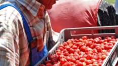 Агроекологията е на път да изгуби най-много евросубсидии