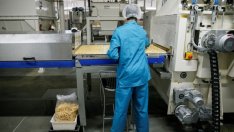 Бизнесът в еврозоната отчита най-активния си месец тази година