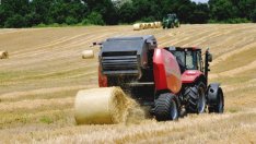 Липсва анализ за ефекта от еднодневните договори върху осигурителната система