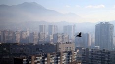 Новите рестрикции за въглищата дават път на иновациите, смятат еколози