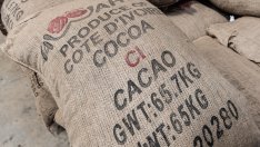 Цените на какаото ще останат високи след поредната слаба реколта в Западна Африка