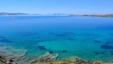 Гърция създава два национални морски парка в Егейско и Йонийско море