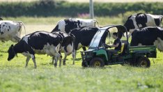 Великобритания отваря врати за сезонни работници от страни извън ЕС