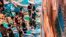 Виртуален недвижим имот беше продаден за рекордните 2,4 млн. долара