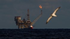 Цената на петрола пое надолу след разочароващото послание на Фед 