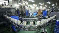Бизнес активността в Япония е най-силна от 2023 г., инфлацията се забавя