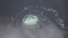 Полша бави разследването на взривовете по "Северен поток"?