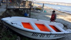 Квотата на България и Румъния за улов на калкан в Черно море е увеличена с 32%