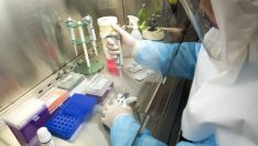 Първи случай на индийския вариант на COVID-19 в България*