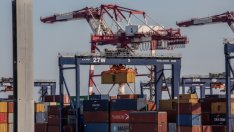 Стрес тестването на веригите за доставки е ключово за глобалното възстановяване