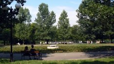 Защо е трудно да се постигне единодушие по казуса с „Борисовата градина“?