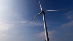 Японски компании инвестират 2,6 млрд. долара в офшорна вятърна централа