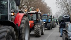 Посланиците на ЕС са приели търговската сделка с Меркосур въпреки несъгласието на Франция