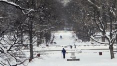 Няма бедстващи хора по пътищата