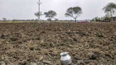 Суша заплашва по-голяма част от Франция това лято