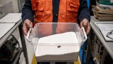 Първа компания комерсиализира метод за директно извличане на литий