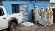 Как Ебола започва да нанася и икономически щети