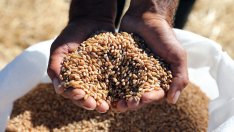 Украйна твърди, че не е дала никакви нови гаранции по зърнената сделка