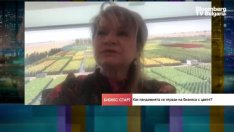 Как ЕС помага на държавите да отговорят на „зелените“ норми? 