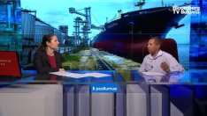 Експерт прогнозира рекордна реколта на пшеницата тази година