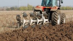 Собственици на земеделски земи искат законодателни промени за арендата