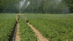 БСП обвини управляващите за първи лобистки закон в 44-то Народно събрание